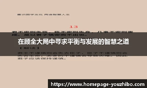 在顾全大局中寻求平衡与发展的智慧之道